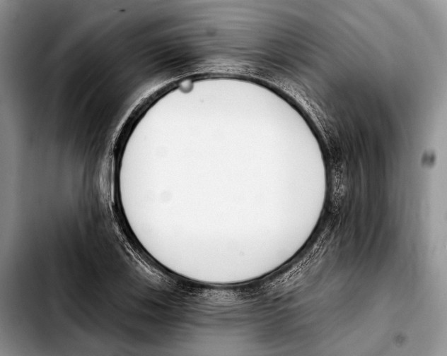 X0000103911123200810101302