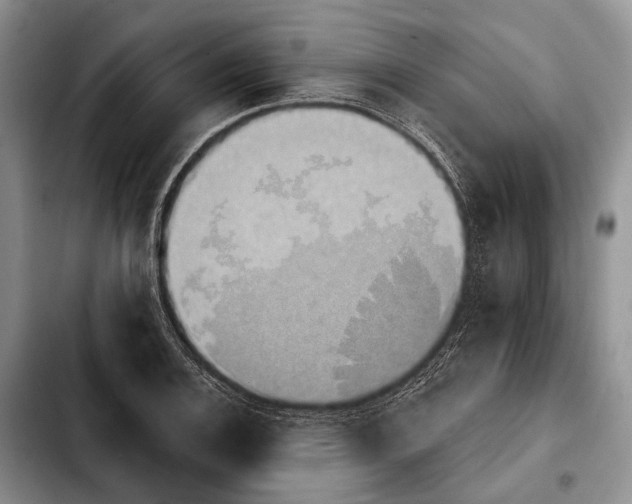 X0000103911124200810101302