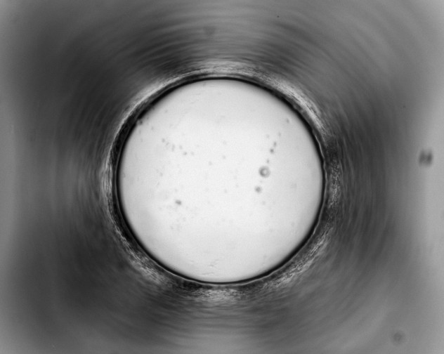 X0000103911125200810101302