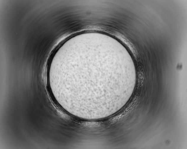 X0000103911127200810101302