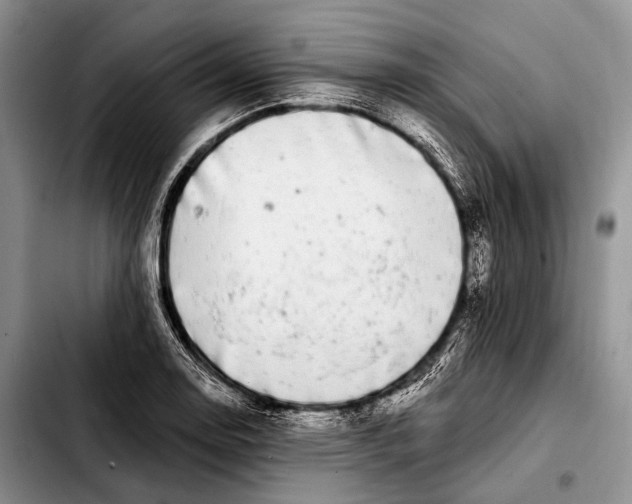 X0000103911130200810101302