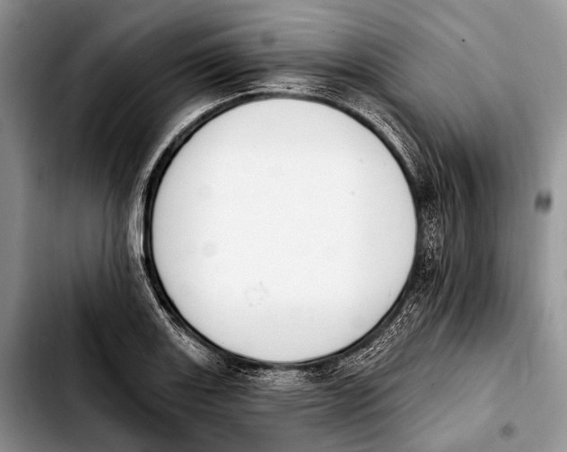 X0000103911131200810101302