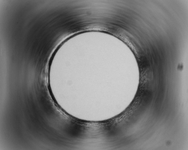 X0000103911132200810101302