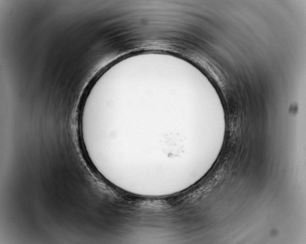 X0000103911133200810101302