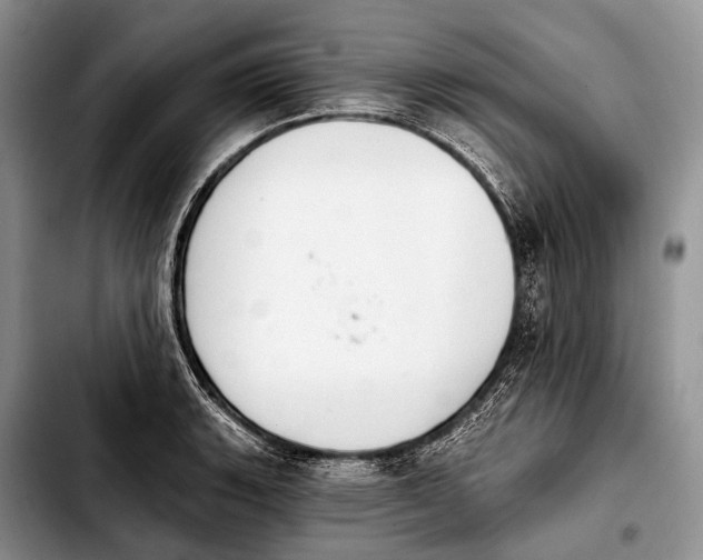 X0000103911135200810101302