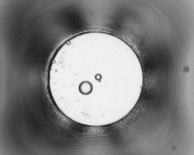 X0000103911136200810101302