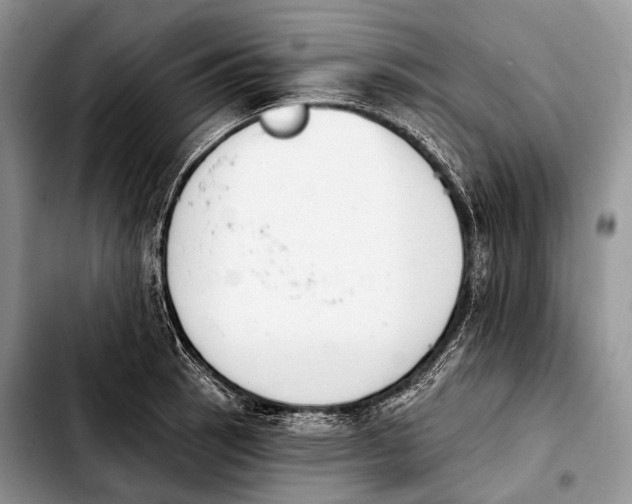 X0000103911137200810101302