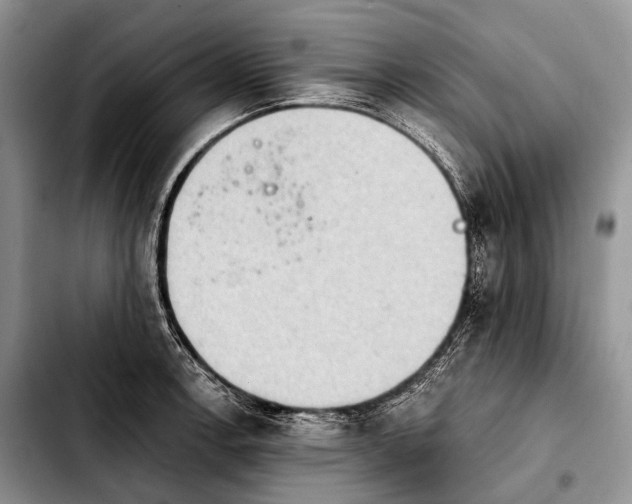 X0000103911138200810101302