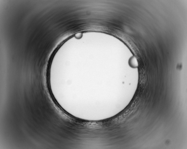 X0000103911139200810101302
