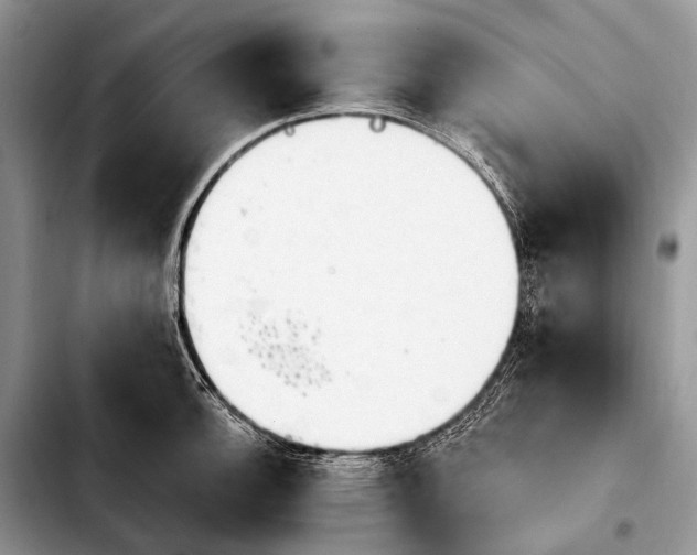 X0000103911140200810101302
