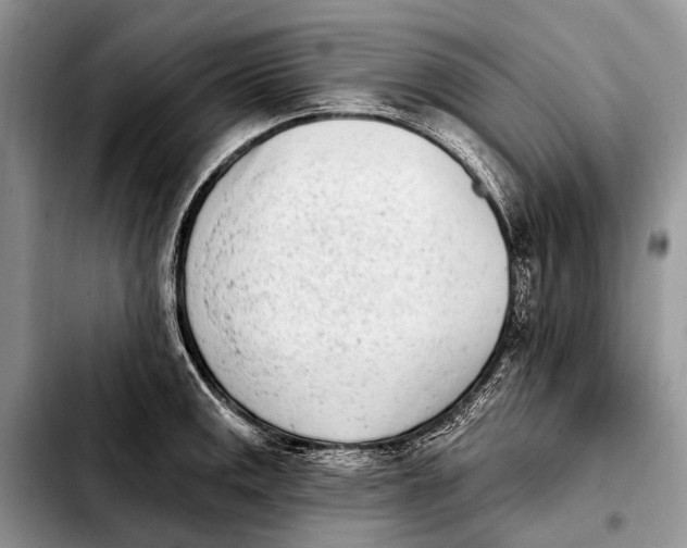 X0000103911141200810101302