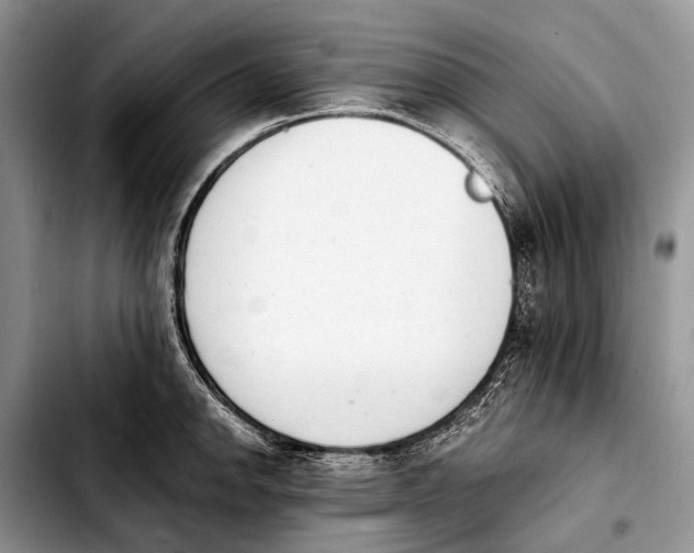 X0000103911142200810101302