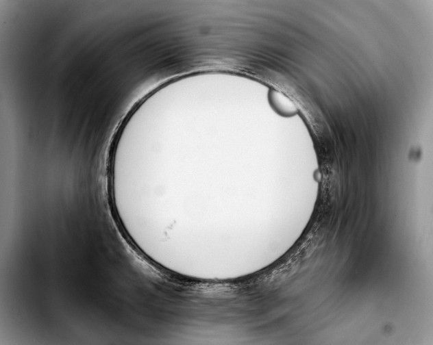 X0000103911143200810101302