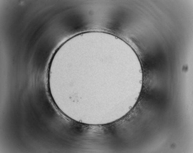 X0000103911144200810101302
