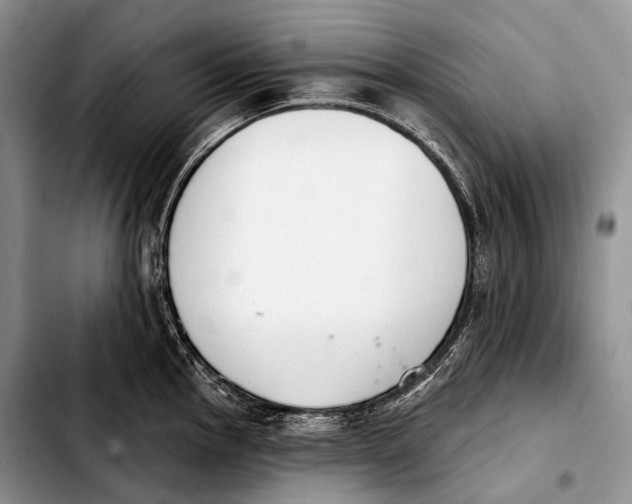 X0000103911145200810101302