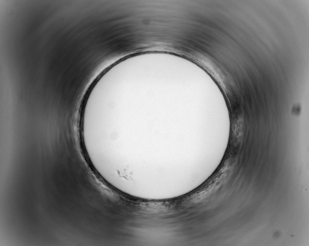 X0000103911149200810101302