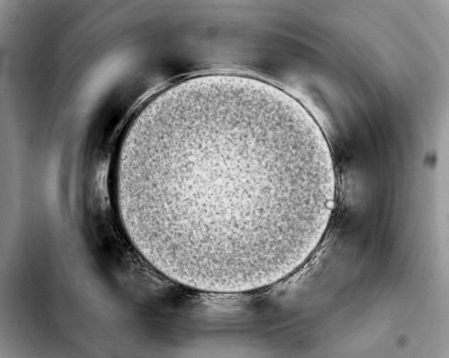 X0000103911150200810101302