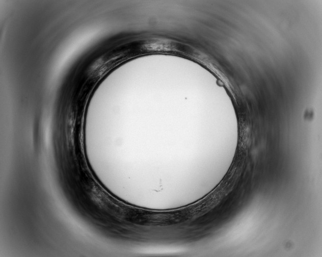 X0000103911151200810101302