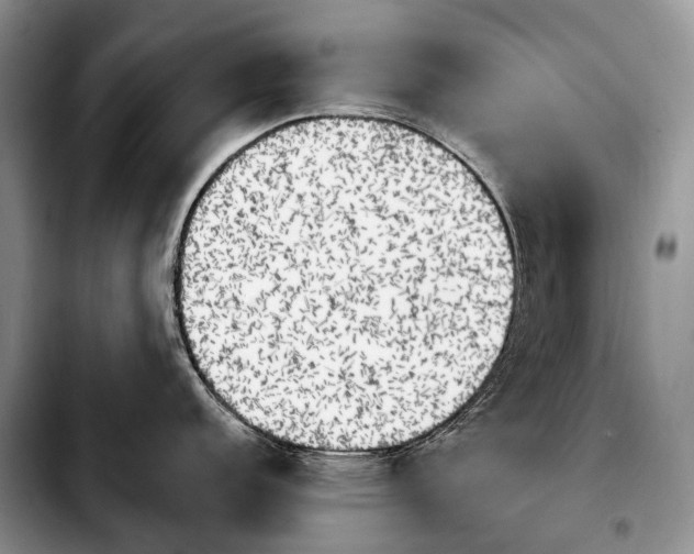 X0000103911152200810101302