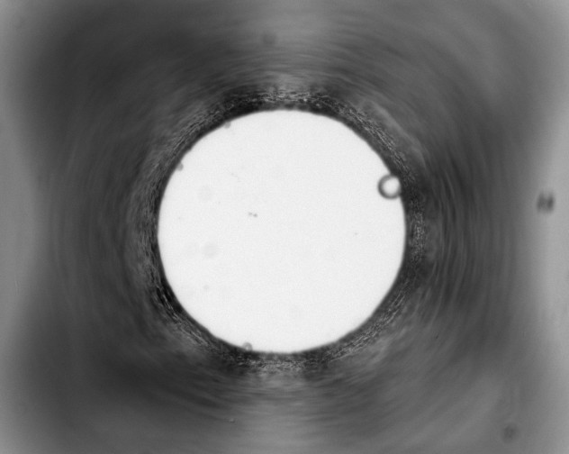 X0000103911153200810101301