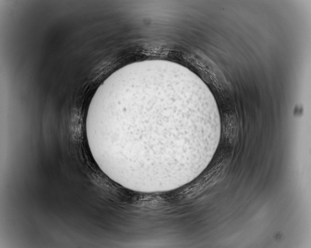 X0000103911154200810101301