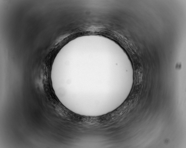 X0000103911158200810101301