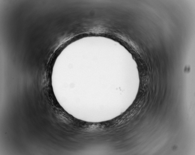 X0000103911160200810101301