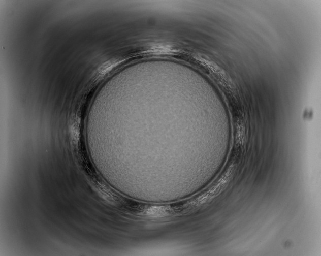 X0000103911161200810101301