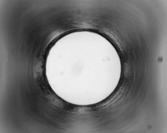 X0000103911163200810101301