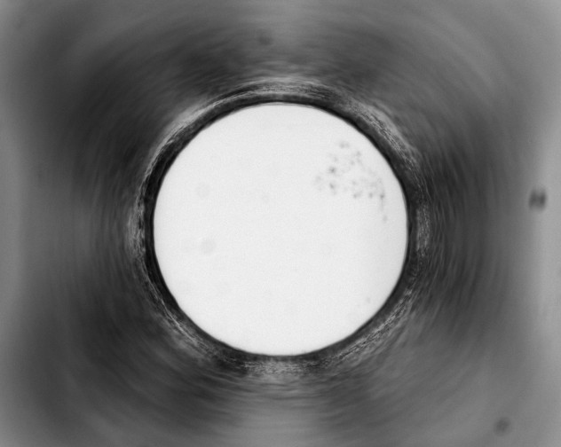 X0000103911164200810101301