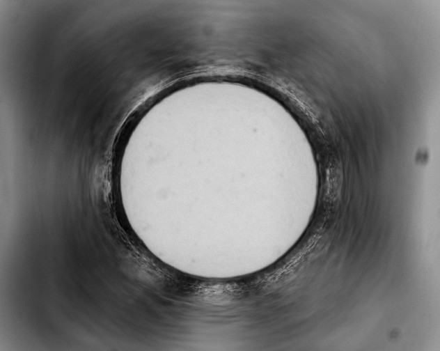 X0000103911165200810101301