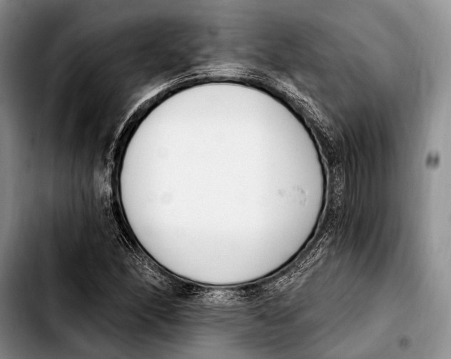 X0000103911166200810101301