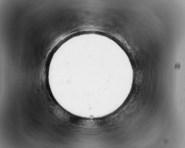 X0000103911167200810101301
