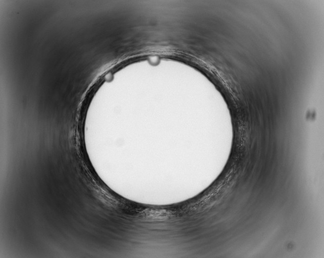 X0000103911168200810101301