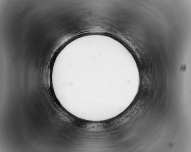X0000103911171200810101301