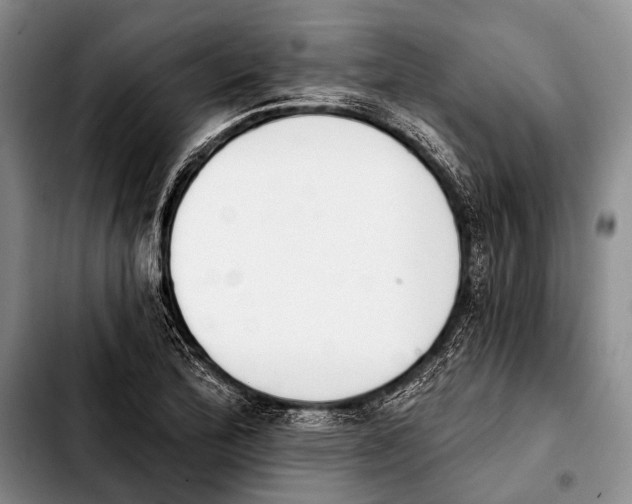 X0000103911172200810101301