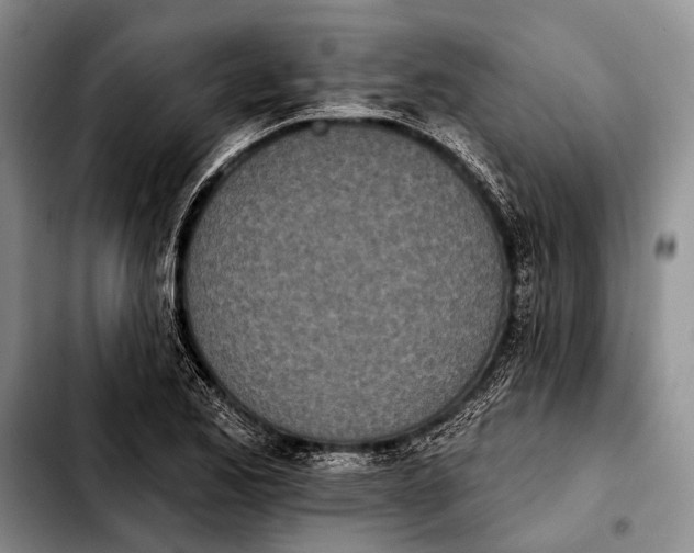 X0000103911173200810101301