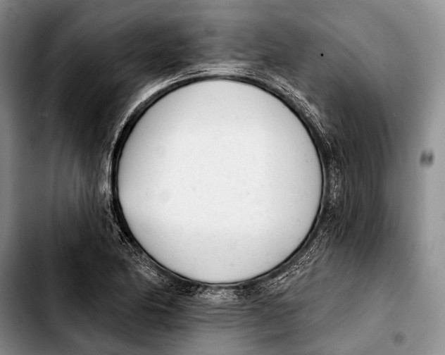 X0000103911174200810101301