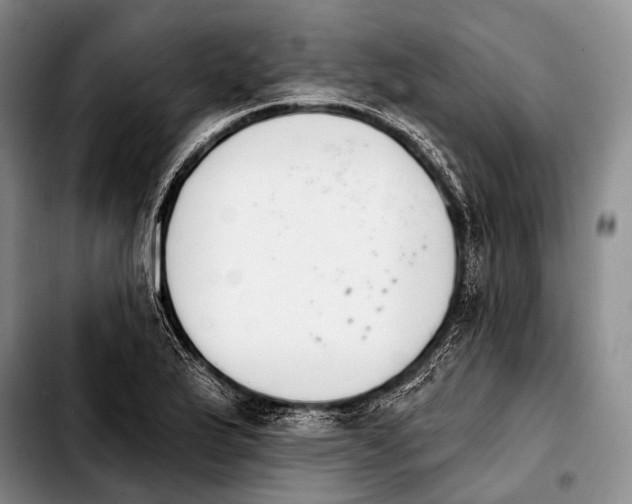 X0000103911175200810101301