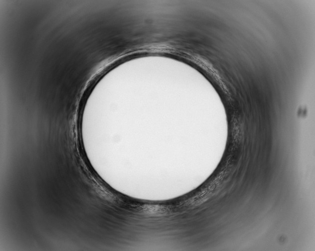 X0000103911176200810101301
