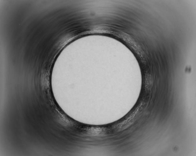 X0000103911177200810101301