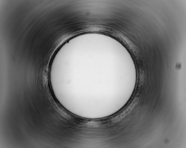 X0000103911178200810101301