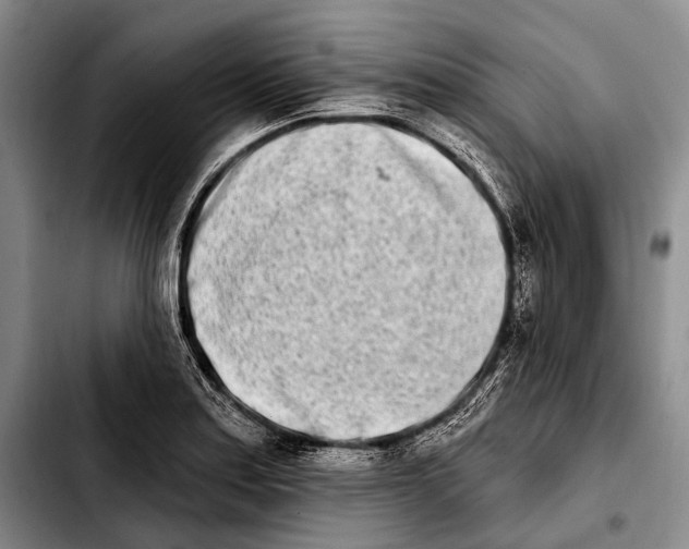 X0000103911179200810101301