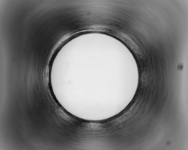X0000103911180200810101301