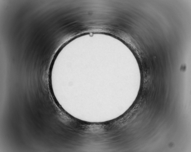 X0000103911181200810101301