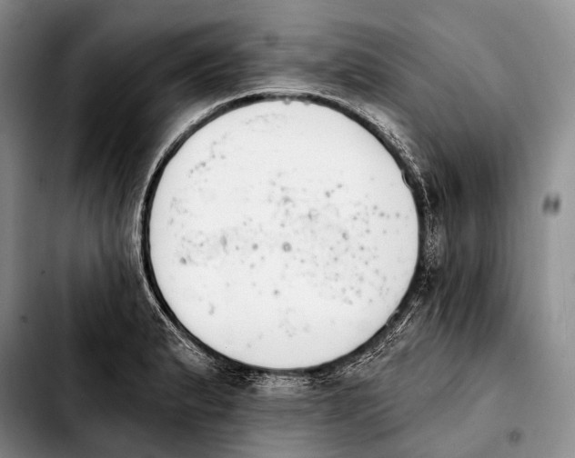 X0000103911183200810101301