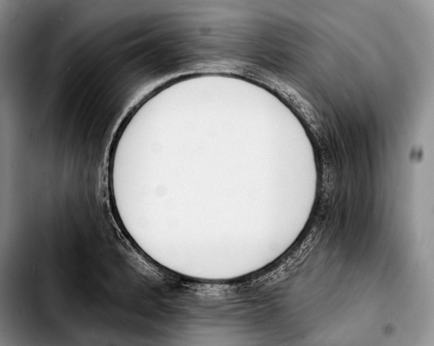 X0000103911184200810101301