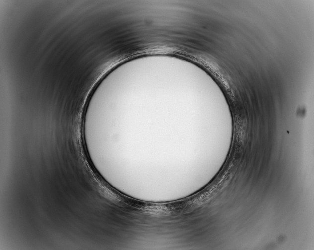 X0000103911186200810101301