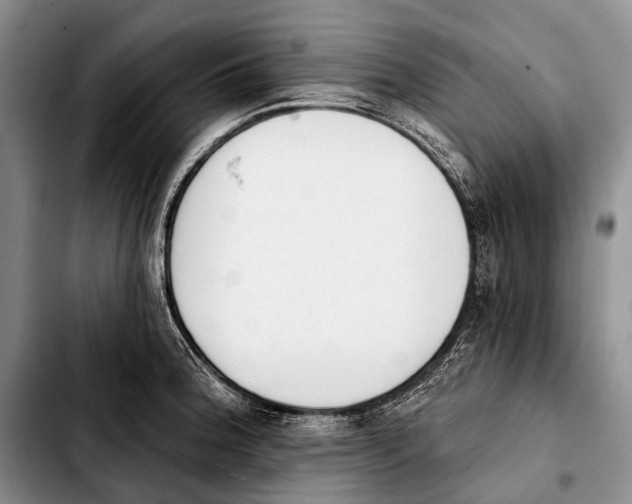 X0000103911188200810101301