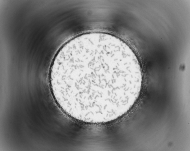 X0000103911189200810101301